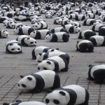 pandas-google (Copy)